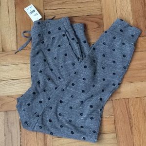 NWT Splendid Polka Dot Sweatpants